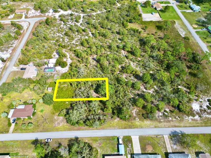 .25 Acre Lot Near 27 Lakes : Lake Placid : Highlands County : Florida