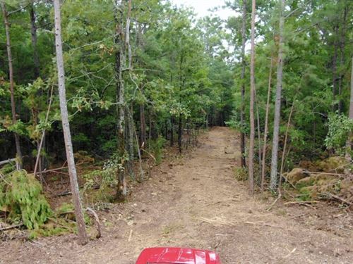 Owner Financed Acreage in AR : Viola : Fulton County : Arkansas