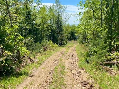 Owner Financed Acreage in MO : Ava : Douglas County : Missouri