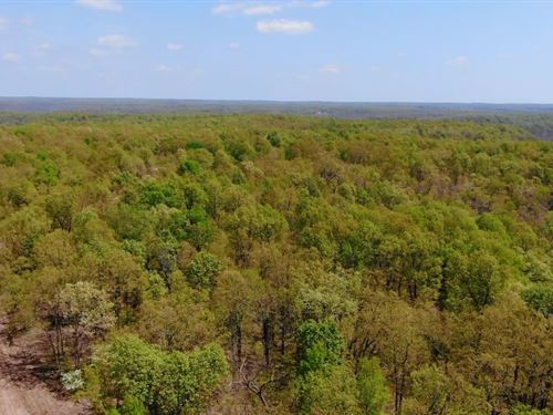 Owner Financed Acreage in MO : Lebanon : Laclede County : Missouri