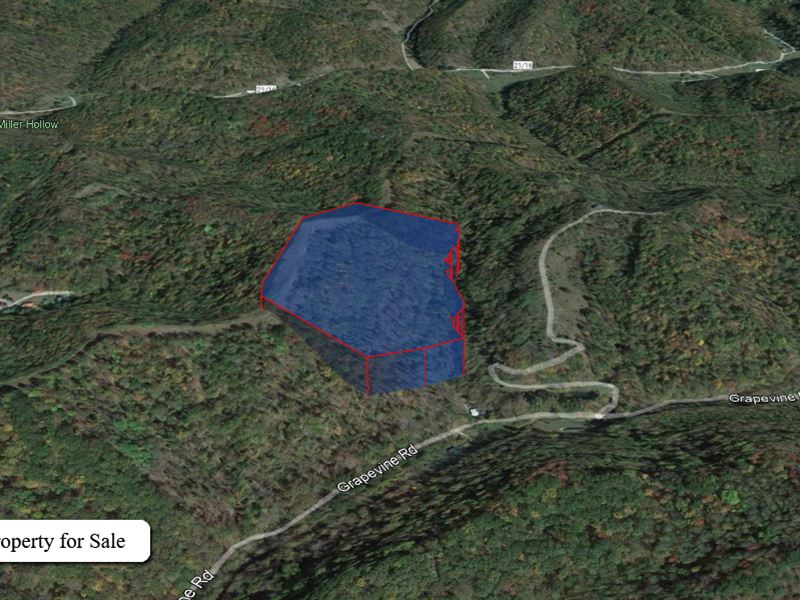 Exquisite 25.95 Acre in WV : Charleston : Kanawha County : West Virginia