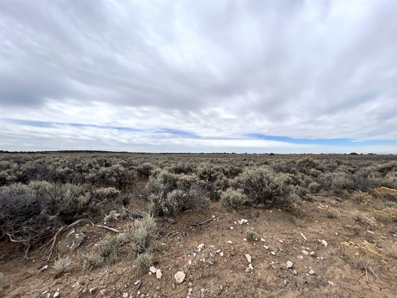 Spacious Corner Lot in Colorado : San Luis : Costilla County : Colorado