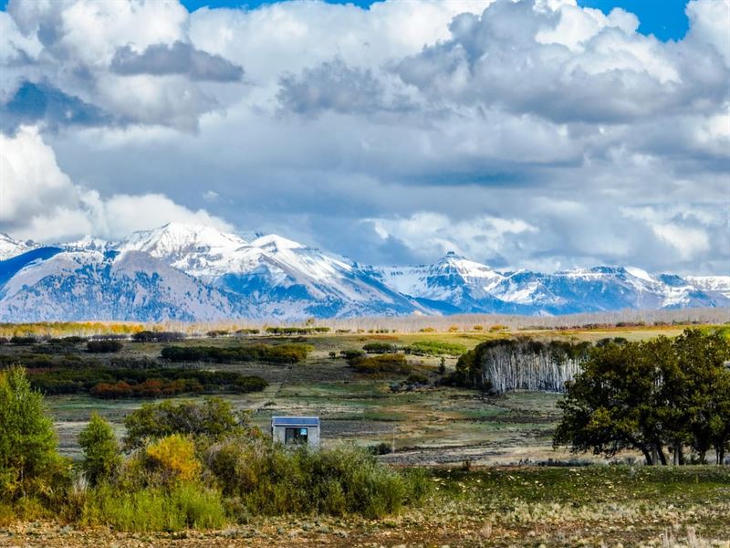 Placerville Ranch : Placerville : San Miguel County : Colorado