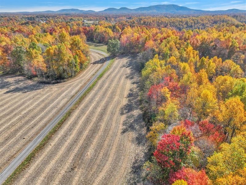 156.12 Acres of Hunting/Recreationa : Liberty : Dekalb County : Tennessee