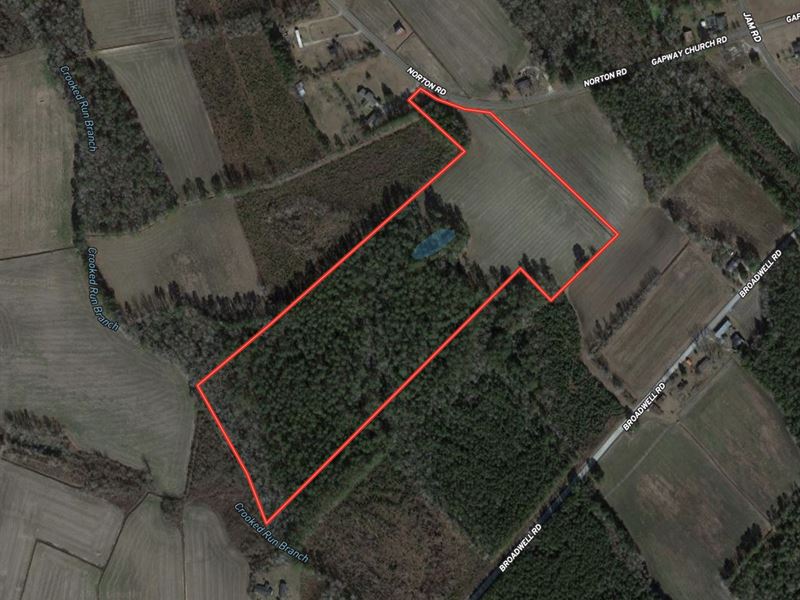 32 Acres of Farm and Hunting Land : Green Sea : Horry County : South Carolina
