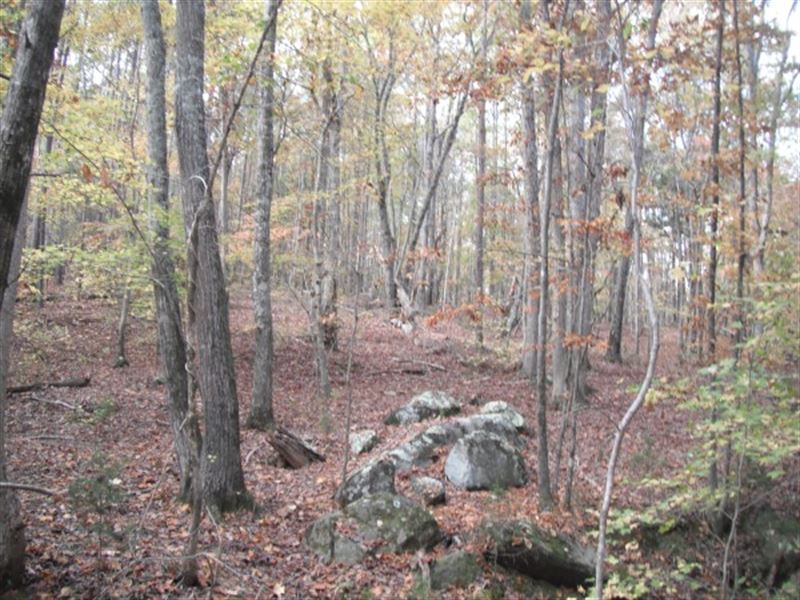Home Site with Great Hunting : Winnsboro : Fairfield County : South Carolina