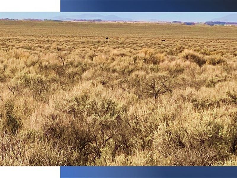 Own Breathtaking Views for $148/Mo : San Luis : Costilla County : Colorado