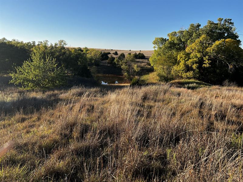 Pristine Ranch, Hunting Land : Butler : Custer County : Oklahoma