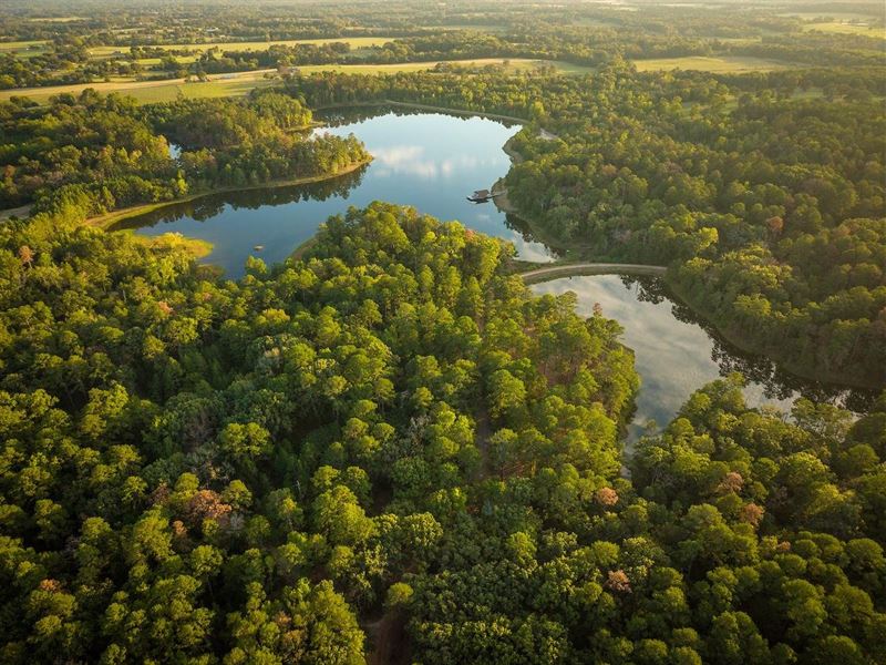 Five Points Ranch : Edom : Van Zandt County : Texas