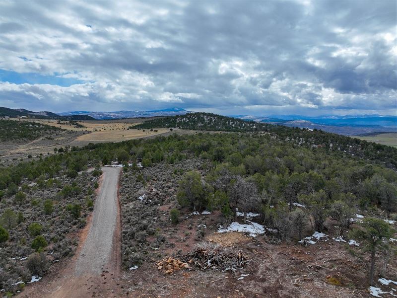 Black Canyon 40 : Montrose : Montrose County : Colorado