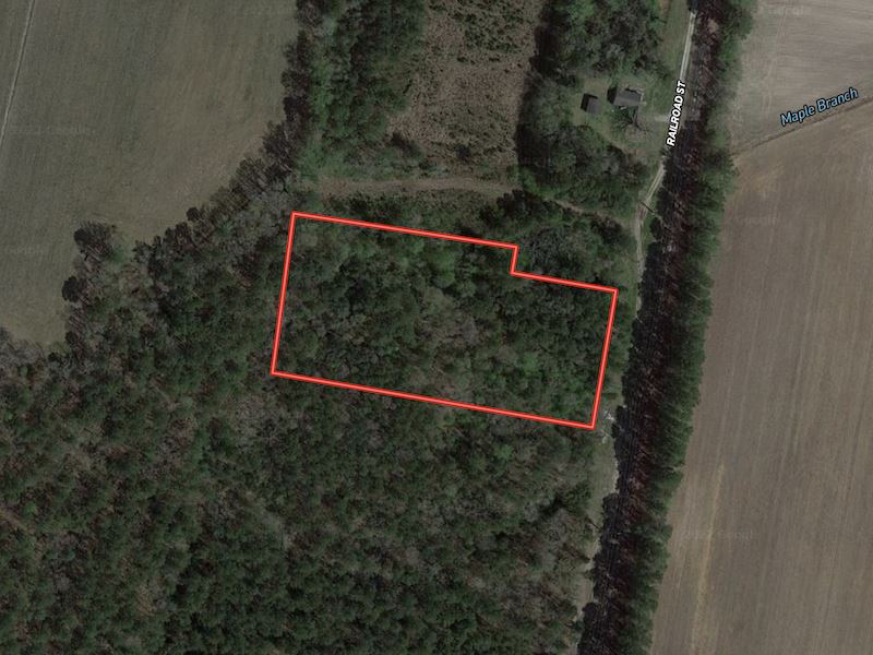3.37 Acres of Hun : Chocowinity : Beaufort County : North Carolina