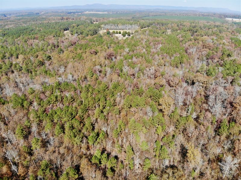 47 Ac Cave Spring, Ga-New Price : Cave Spring : Floyd County : Georgia