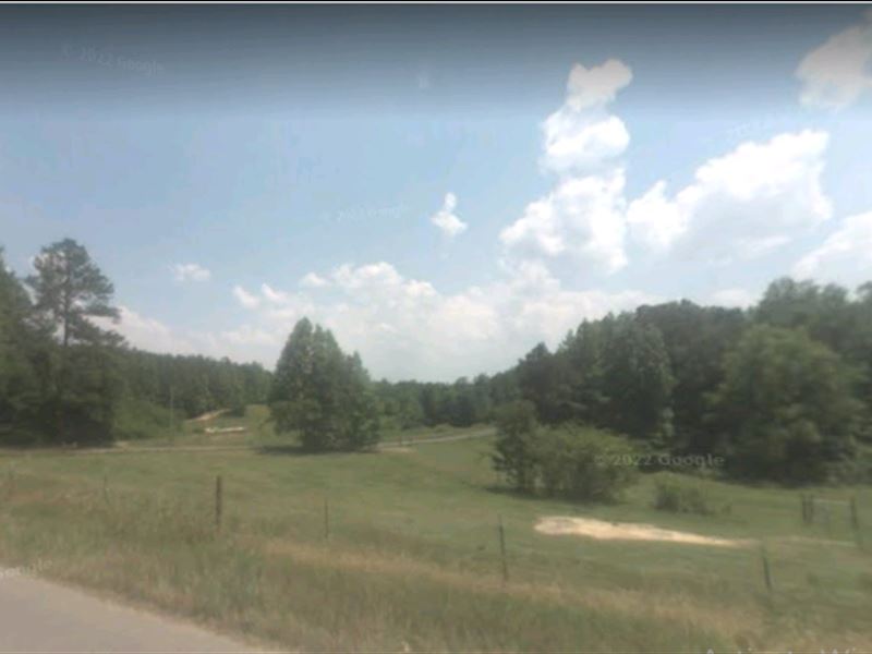Paradise, Beautiful Wooded Land : Nauvoo : Walker County : Alabama
