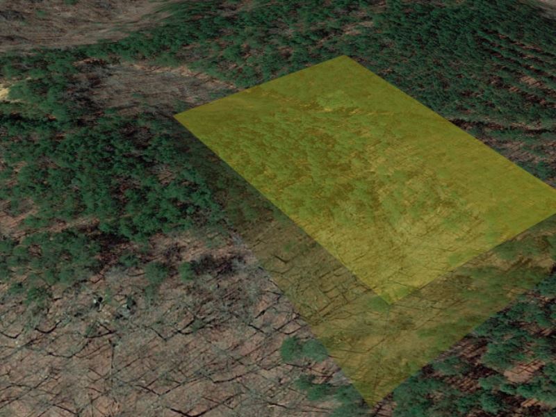Perfect Land, Special Part of State : Carbon Hill : Walker County : Alabama