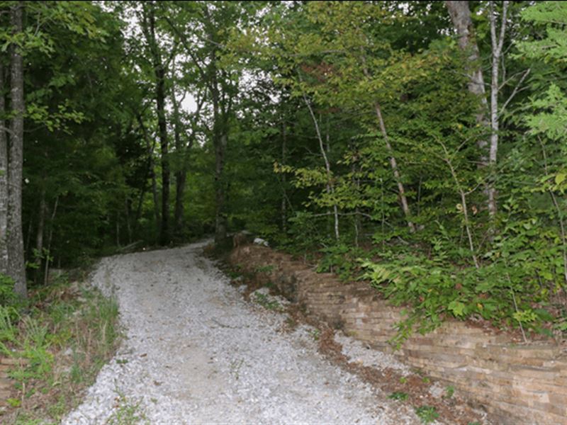 Beautiful Land Near The Lake : Branson West : Stone County : Missouri