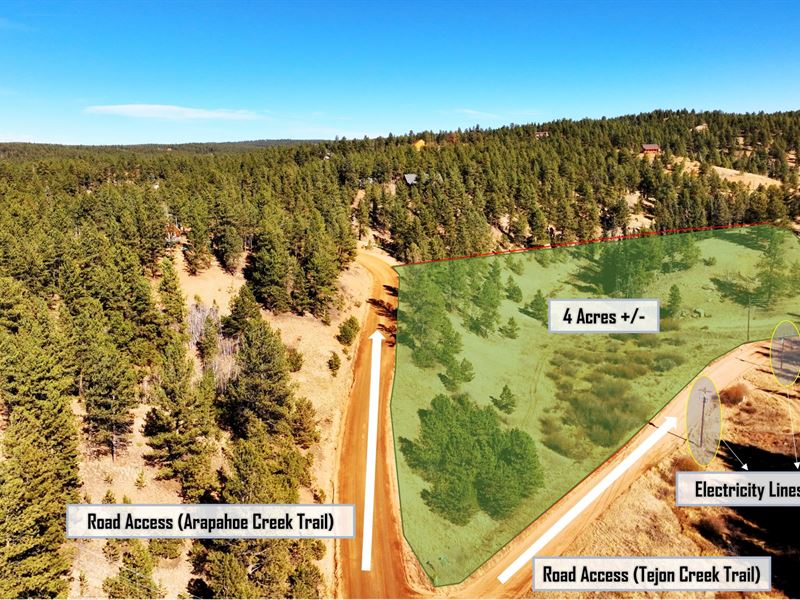 4 Acres in Indian Creek Community : Florissant : Teller County : Colorado