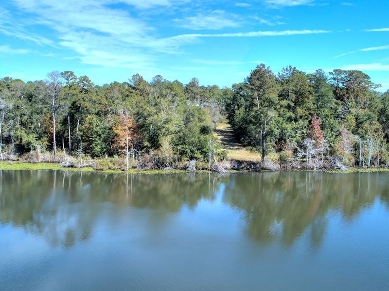 Waterfront Hunting Homesite : Edison : Calhoun County : Georgia