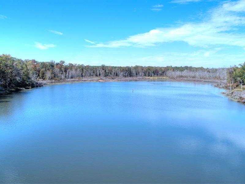 Country Living on Water : Edison : Calhoun County : Georgia