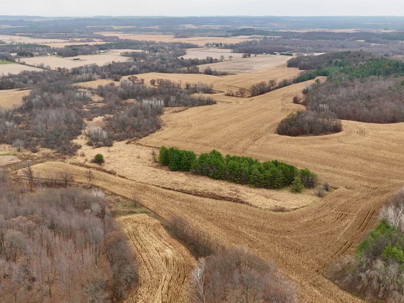 160 Acres in Trempealeau County : Osseo : Trempealeau County : Wisconsin