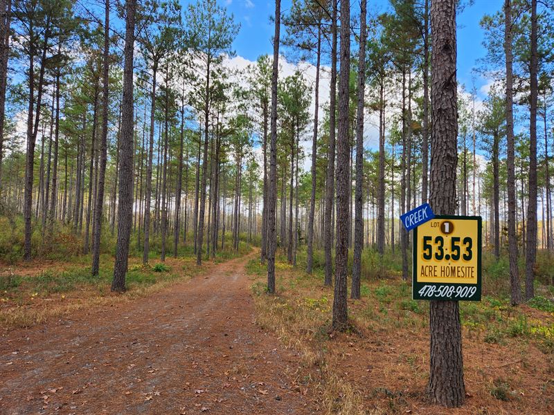 Perkins Rd Estate, Barnesville : Barnesville : Lamar County : Georgia