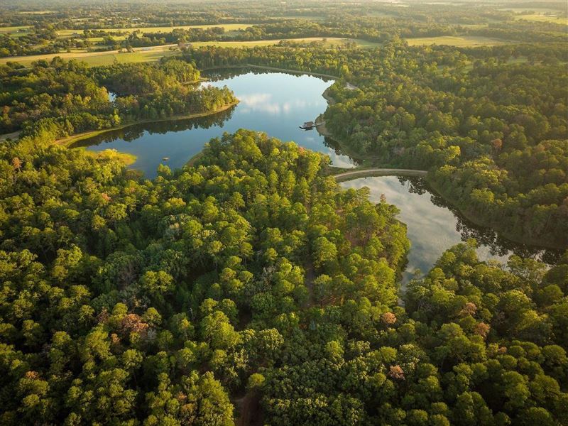Five Points Ranch : Edom : Henderson County : Texas