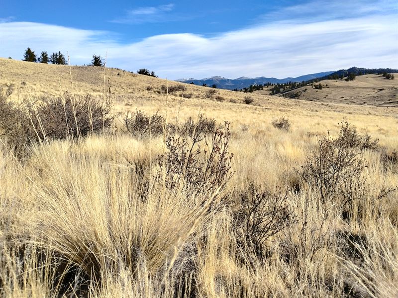 Lost Creek Wldn, Central Rockies : Fairplay : Park County : Colorado
