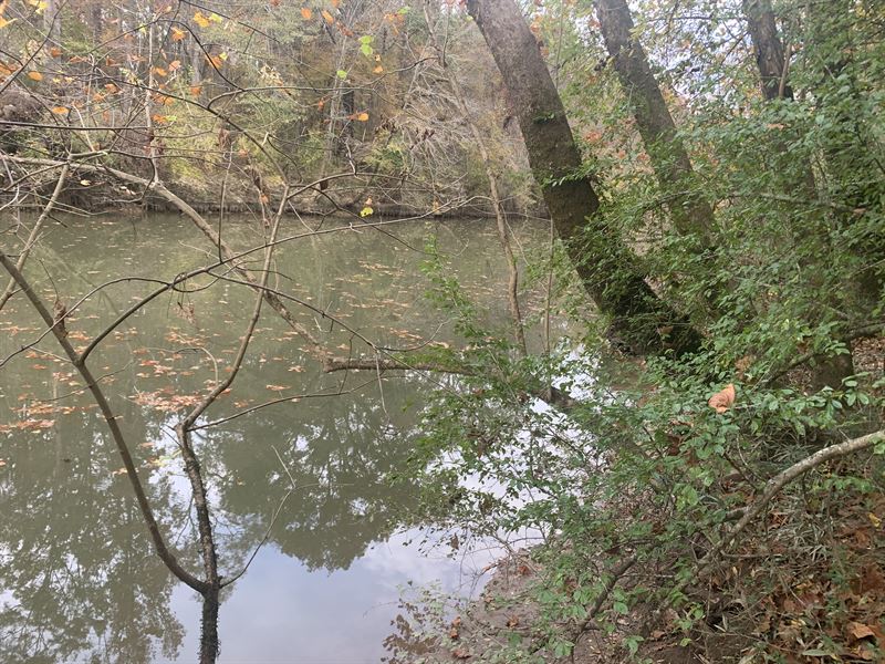 Creek Frontage Close to Anniston : Ohatchee : Calhoun County : Alabama