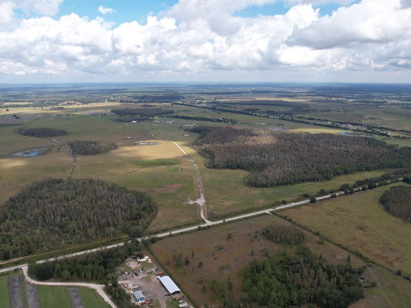 L B F Ranch : Lakeland : Polk County : Florida