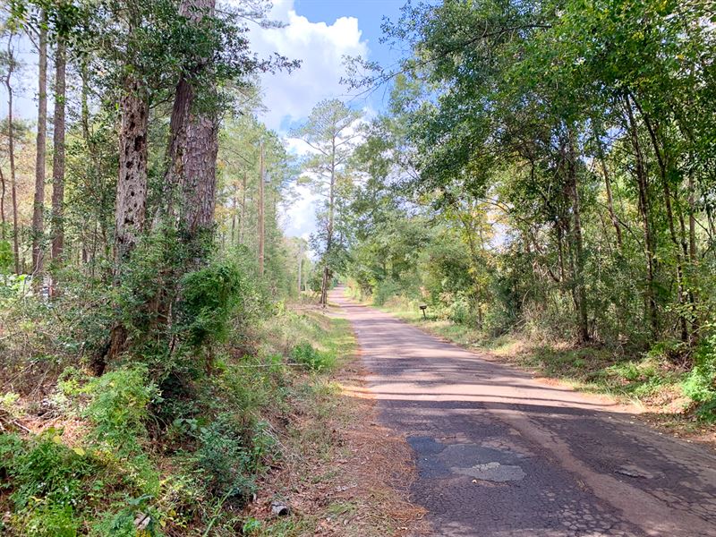 4.9 Acres, 2300 County Road 1520 : Warren : Tyler County : Texas