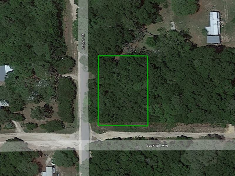 Beautiful Piece of Privacy : Keystone Heights : Clay County : Florida