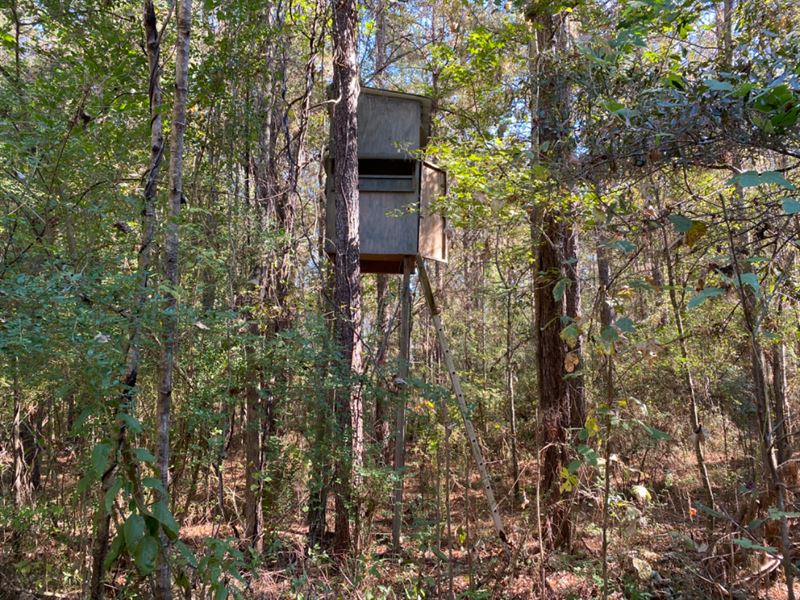 Pike County, MS Weekend Getaway : Magnolia : Pike County : Mississippi