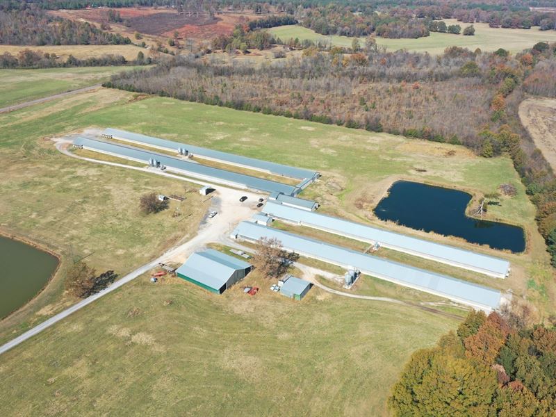 McKinney Breeder Farm : Russellville : Franklin County : Alabama