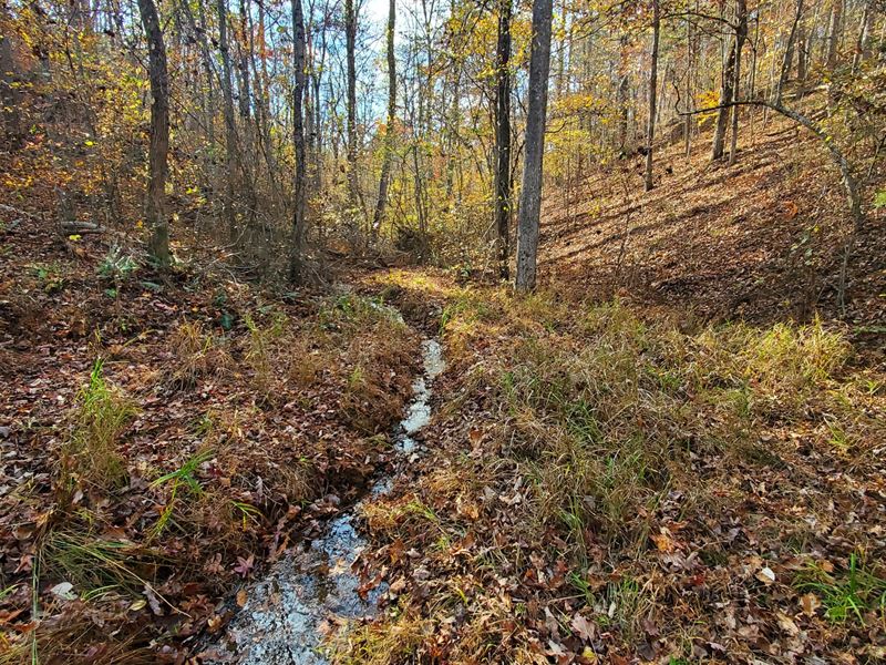 57 Ac. Hunting Land : Piedmont : Cleburne County : Alabama