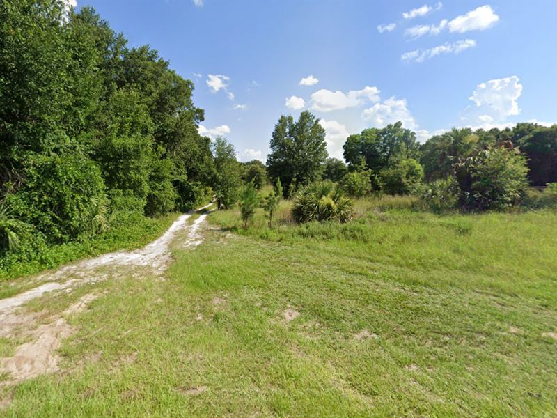 The Perfect Lot for Your Plans : Ocklawaha : Marion County : Florida