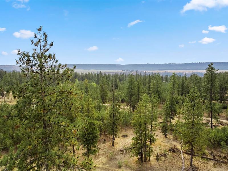 The Best Investment Opportunity : Ford : Stevens County : Washington