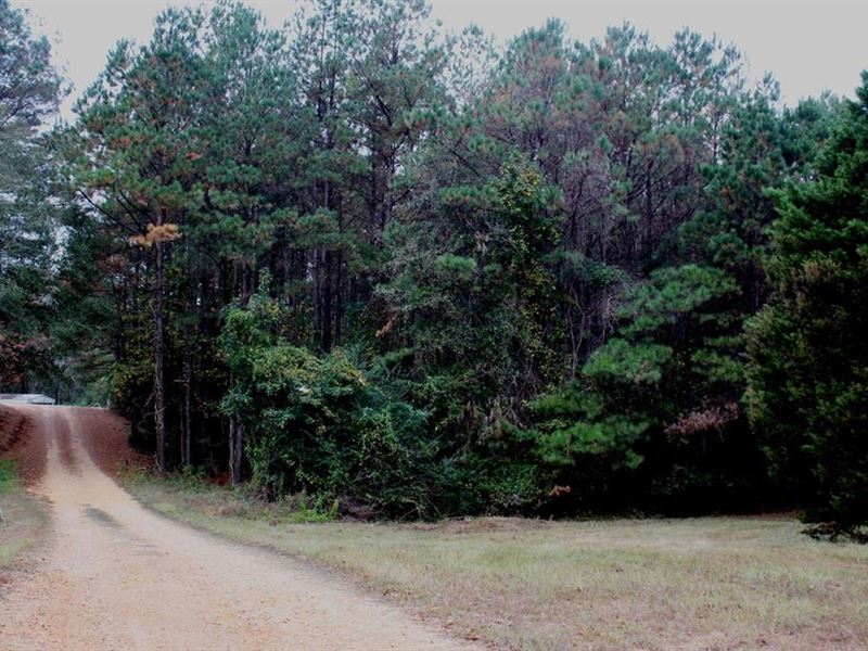 1.2 Acre Home Site for Sale in Pike : Summit : Pike County : Mississippi