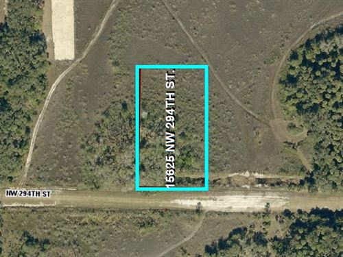 Homestead Friendly Acre : Okeechobee : Florida