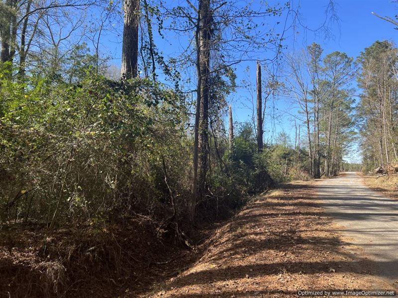 77 AC in Leake County, MS : Carthage : Leake County : Mississippi