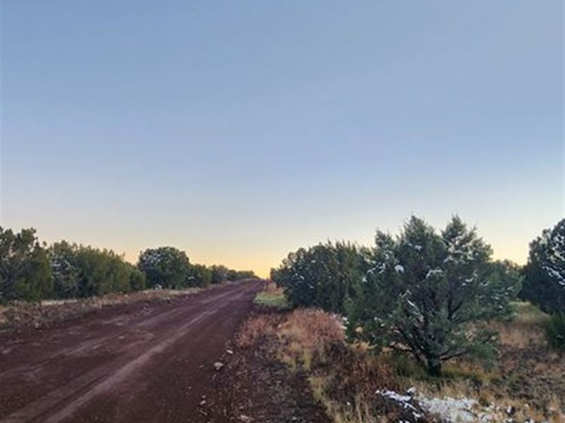 RV Friendly Lot Near Highway : Vernon : Apache County : Arizona