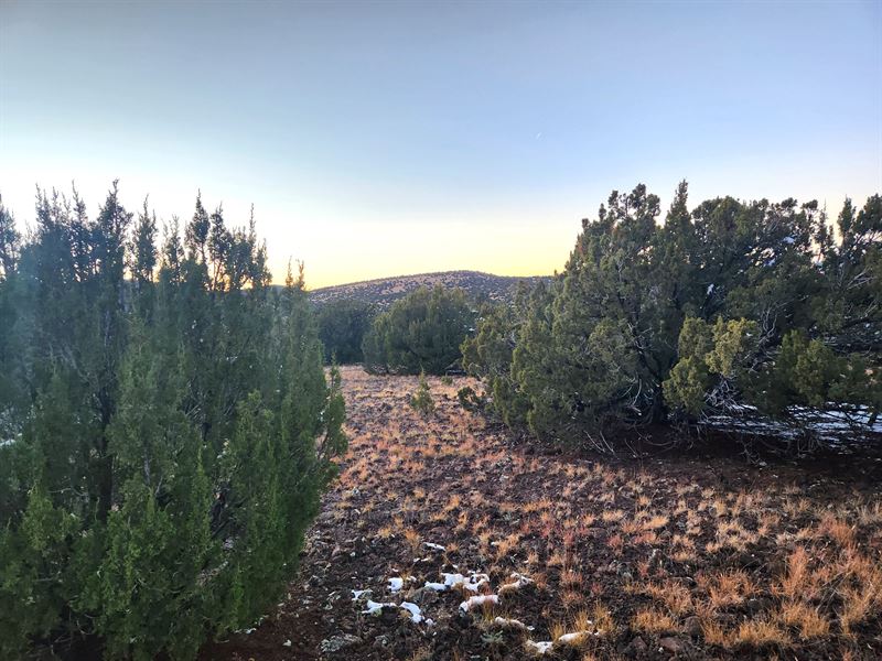 Arizona Lot Near Hwy, RV Friendly : Vernon : Apache County : Arizona