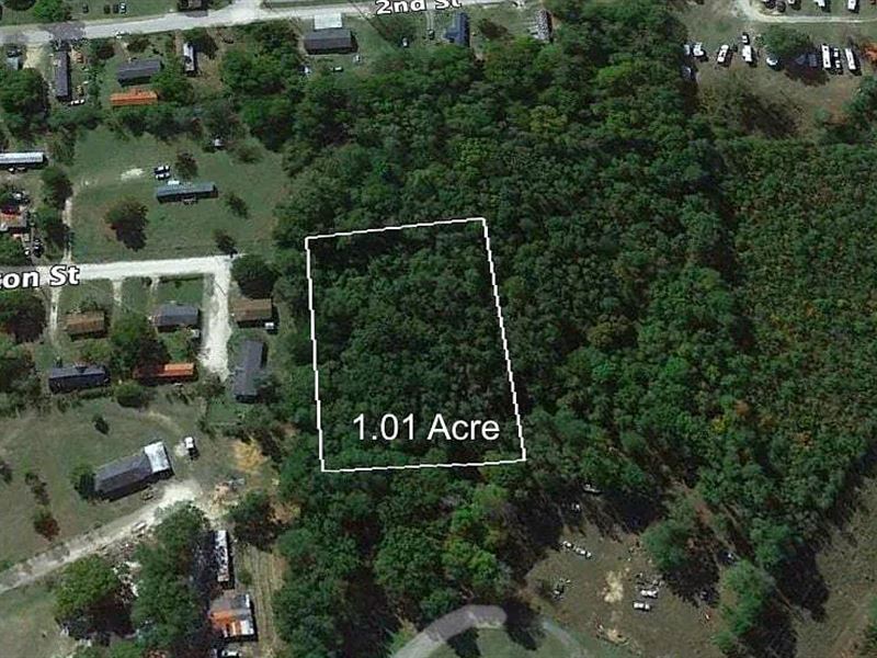 Great Opportunity in Sardis : Sardis : Burke County : Georgia