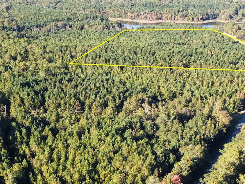 Amazing Opportunity : Notasulga : Macon County : Alabama