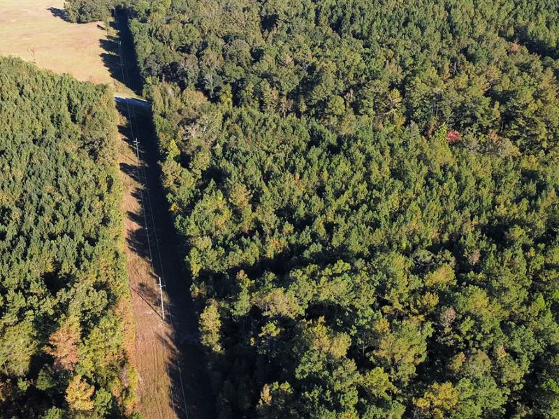 Opportunity in Notasulga : Notasulga : Macon County : Alabama