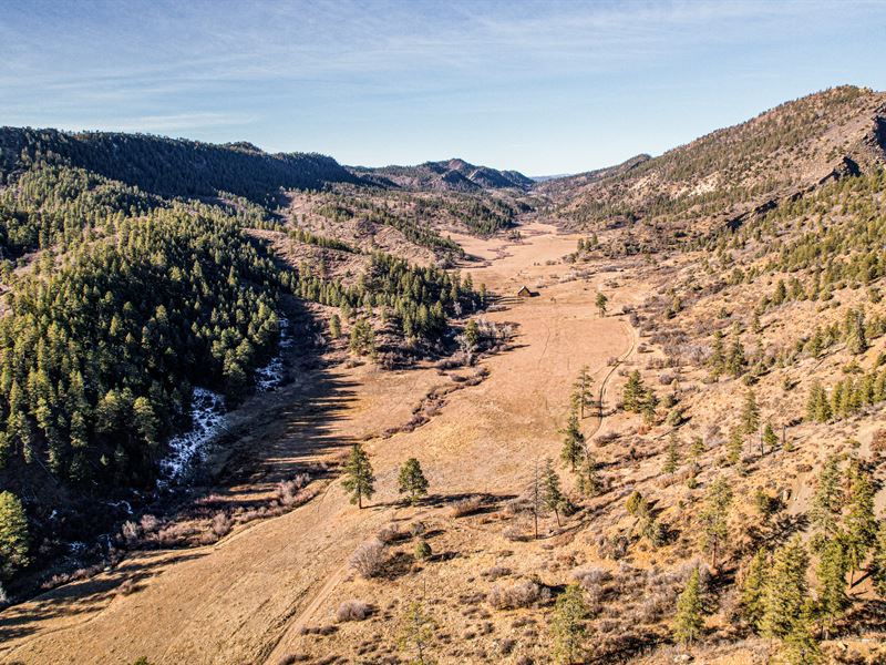 Yellow Jacket Creek Ranch : Pagosa Springs : Archuleta County : Colorado