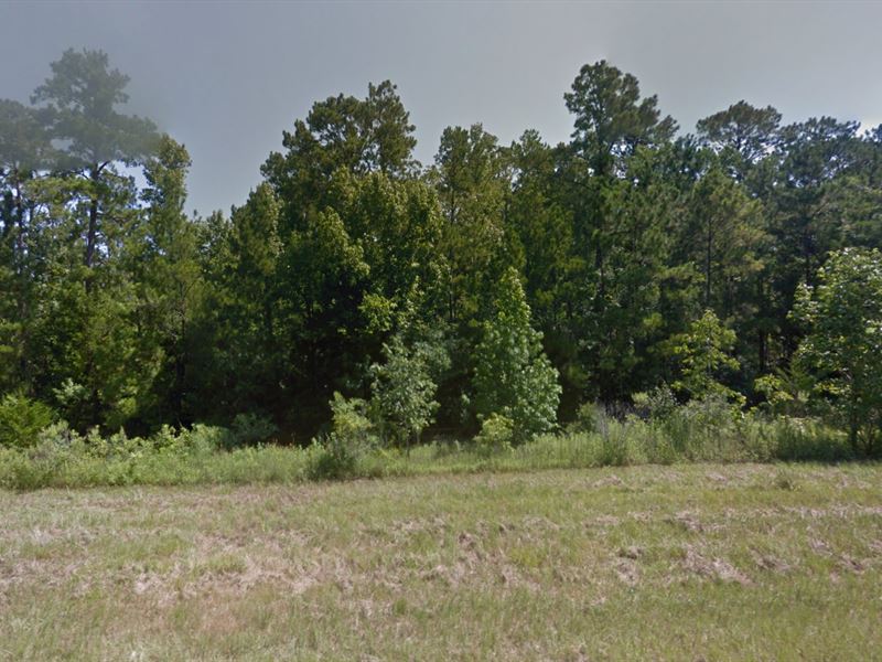 .14 Acre Hillside Property : Woodville : Tyler County : Texas