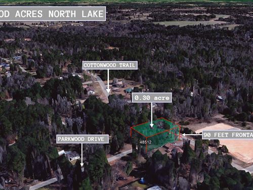 .3 Acre in Gilmer, $250 a Month : Gilmer : Upshur County : Texas