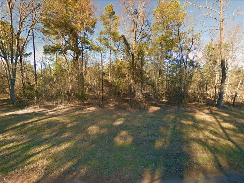 .3 Acre in Gilmer, $250/Mo : Gilmer : Upshur County : Texas