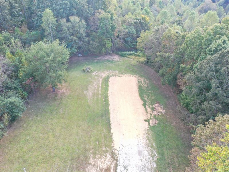 60 Acres Lauderdale County : Killen : Lauderdale County : Alabama