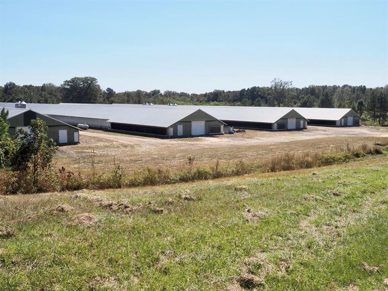 Nice 4 House Poultry Broiler Farm : Carthage : Leake County : Mississippi