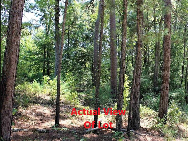 Clean Neighborhood, Lake O Pines : Avinger : Marion County : Texas